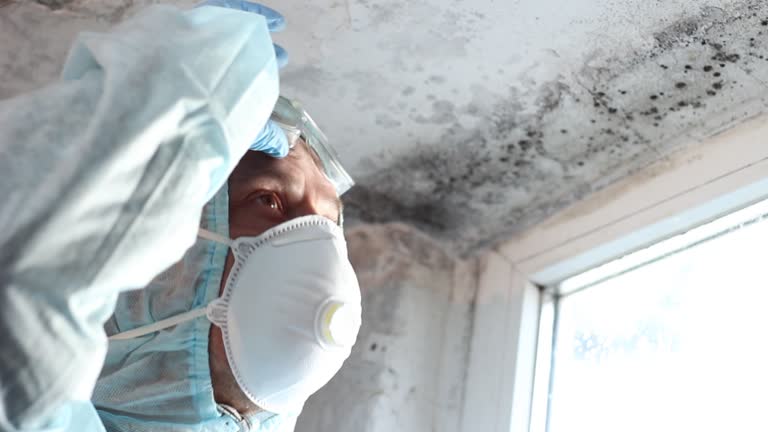 Mold Odor Removal Services in Troy, MO